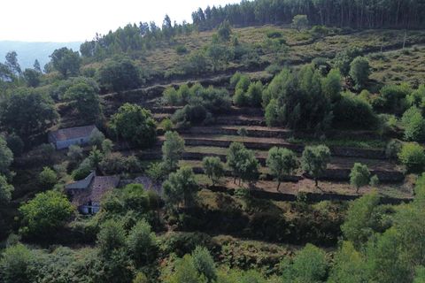 Farm hus i Monchique, Faro, Monchique - € 350.000 | Ref: KWPT-021509 - foto 24