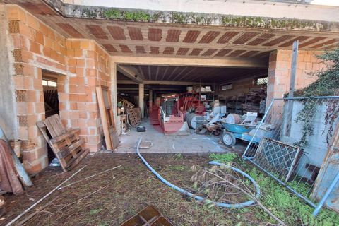 Erhvervsejendom i Benevento, Benevento, Benevento - € 450.000 | Ref: AA39601 - foto 7