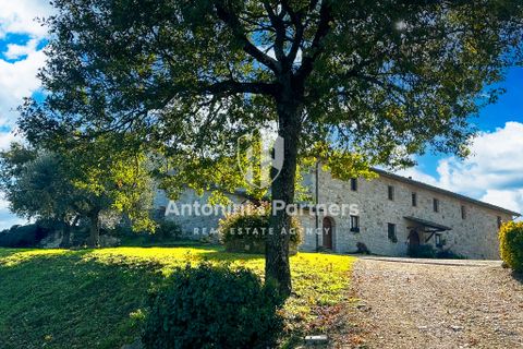 Villa a Todi, Perugia, Todi - € 1.190.000 | Ref: 66715-1 - foto 8