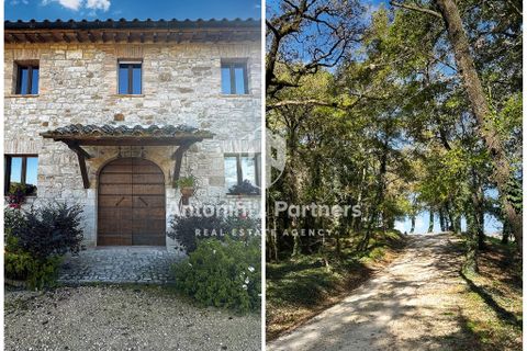 Villa a Todi, Perugia, Todi - € 1.190.000 | Ref: 66715-1 - foto 12