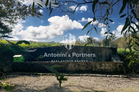 Villa a Todi, Perugia, Todi - € 1.190.000 | Ref: 66715-1 - foto 44