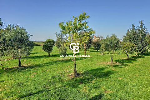 Villa a Puyravault, Vendee, Puyravault - € 499.000 | Ref: 0109AM - foto 15