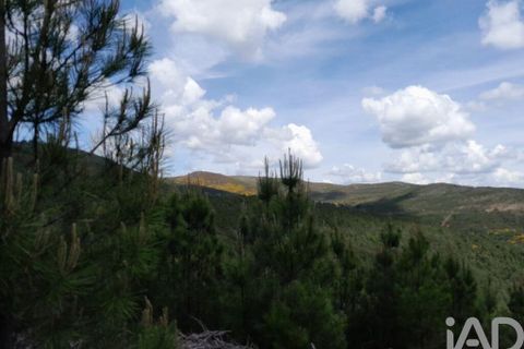 Terra a Covilha, Castelo Branco, Covilha - € 50.000 | Ref: 149279 - foto 3