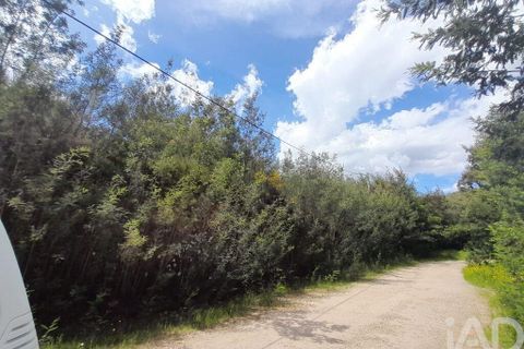 Terra a Covilha, Castelo Branco, Covilha - € 50.000 | Ref: 149279 - foto 5