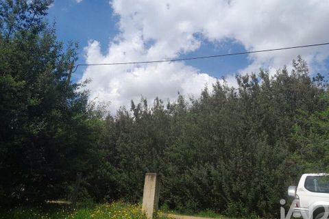 Terra a Covilha, Castelo Branco, Covilha - € 50.000 | Ref: 149279 - foto 6