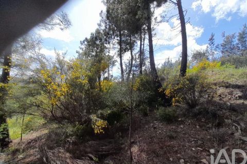 Terra a Covilha, Castelo Branco, Covilha - € 50.000 | Ref: 149279 - foto 7