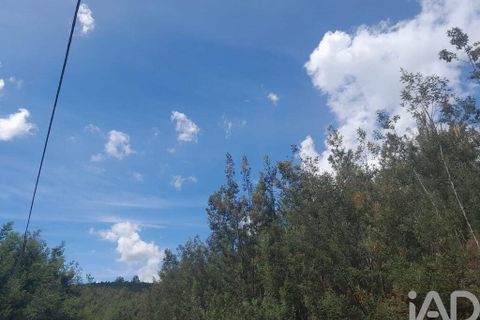 Terra a Covilha, Castelo Branco, Covilha - € 50.000 | Ref: 149279 - foto 8