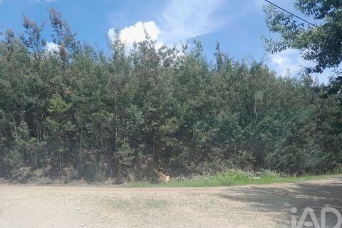 Terra a Covilha, Castelo Branco, Covilha - € 50.000 | Ref: 149279 - foto 11