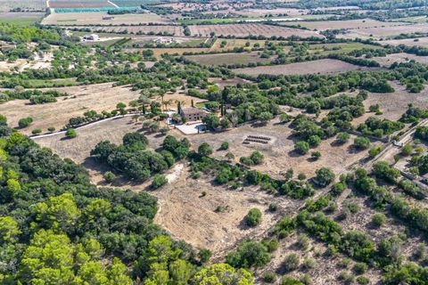 Finca i Manacor, Mallorca, Manacor - € 5.500.000 | Ref: 81979 - foto 32
