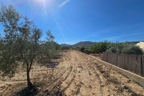 Helårsgrund i Salinas, Alicante, Salinas - € 60.500 | Ref: IVD13825 - foto 1