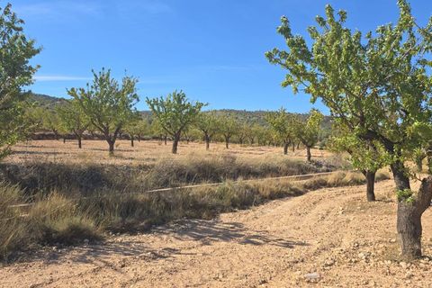 Helårsgrund i Salinas, Alicante, Salinas - € 52.500 | Ref: IVD13826 - foto 1