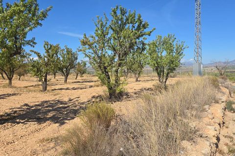Helårsgrund i Salinas, Alicante, Salinas - € 52.500 | Ref: IVD13826 - foto 2