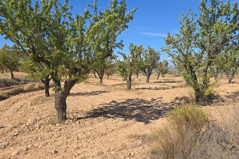 Helårsgrund i Salinas, Alicante, Salinas - € 52.500 | Ref: IVD13826 - foto 3