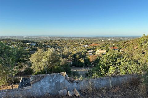 Villa i Faro, Faro, Faro - € 1.200.000 | Ref: 014250122 - foto 13
