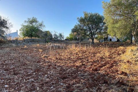 Villa i Faro, Faro, Faro - € 1.200.000 | Ref: 014250122 - foto 15