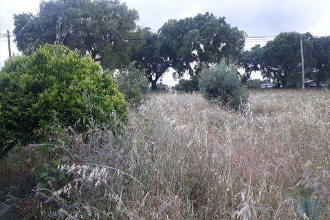 Byhus i Portalegre, Portalegre, Portalegre - € 109.500 | Ref: 122517 - foto 8