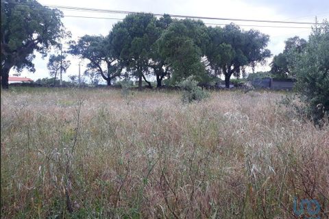 Byhus i Portalegre, Portalegre, Portalegre - € 109.500 | Ref: 122517 - foto 11
