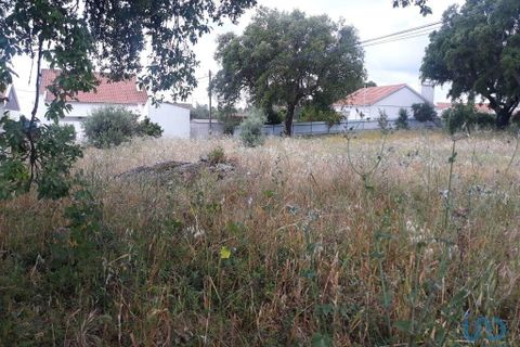 Byhus i Portalegre, Portalegre, Portalegre - € 109.500 | Ref: 122517 - foto 13