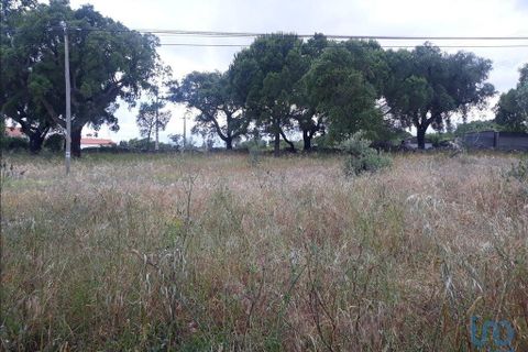 Byhus i Portalegre, Portalegre, Portalegre - € 109.500 | Ref: 122517 - foto 14