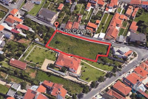 Terra a Ovar, Aveiro, Ovar - € 195.000 | Ref: 148519 - foto 2