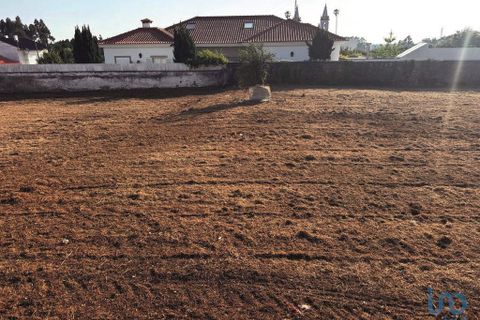 Terra a Ovar, Aveiro, Ovar - € 195.000 | Ref: 148519 - foto 5