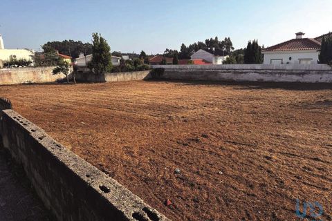 Terra a Ovar, Aveiro, Ovar - € 195.000 | Ref: 148519 - foto 6