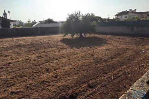 Terra a Ovar, Aveiro, Ovar - € 195.000 | Ref: 148519 - foto 7