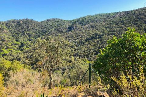 Villa i Bufaganyes, Gerona, Bufaganyes - € 2.100.000 | Ref: 348 - foto 30