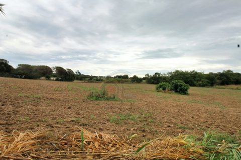 Landejendom i Llagostera, Gerona, Llagostera - € 1.100.000 | Ref: 1728 LLA - foto 30