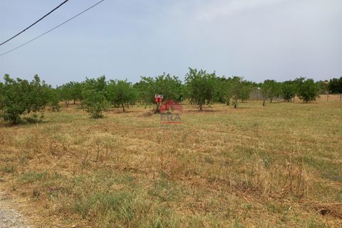 Villa i Tavira, Faro, Tavira - € 200.000 | Ref: 125250006 - foto 13