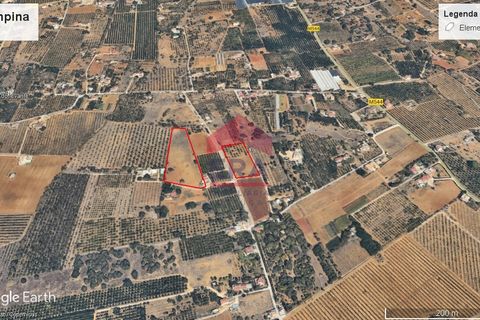 Villa i Tavira, Faro, Tavira - € 200.000 | Ref: 125250006 - foto 15