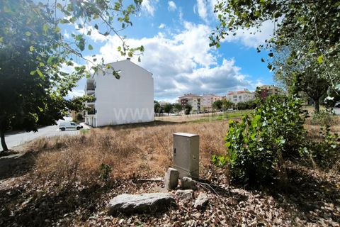 Terra a Nelas, Viseu, Nelas - € 150.000 | Ref: 389250184 - foto 2