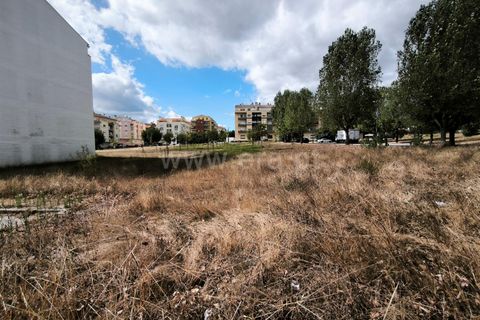 Terra a Nelas, Viseu, Nelas - € 150.000 | Ref: 389250184 - foto 3