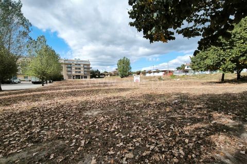 Terra a Nelas, Viseu, Nelas - € 150.000 | Ref: 389250184 - foto 4