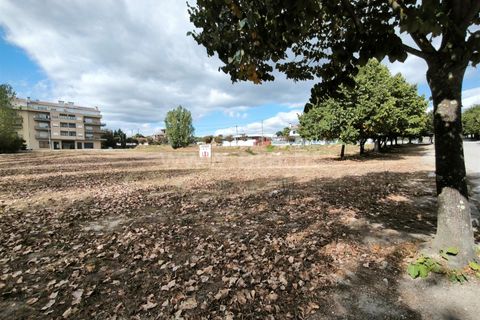 Terra a Nelas, Viseu, Nelas - € 150.000 | Ref: 389250184 - foto 5