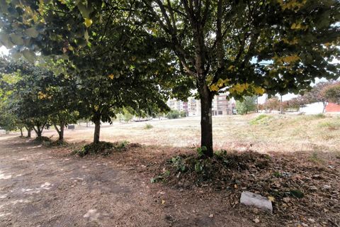 Terra a Nelas, Viseu, Nelas - € 150.000 | Ref: 389250184 - foto 6