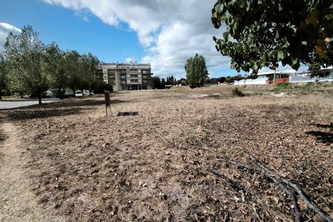 Terra a Nelas, Viseu, Nelas - € 150.000 | Ref: 389250184 - foto 7