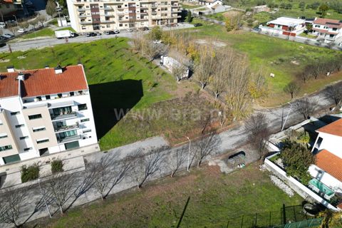 Terra a Nelas, Viseu, Nelas - € 150.000 | Ref: 389250184 - foto 9