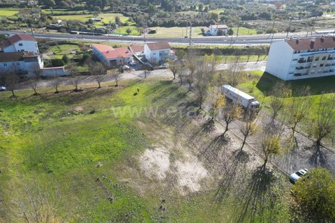 Terra a Nelas, Viseu, Nelas - € 150.000 | Ref: 389250184 - foto 11
