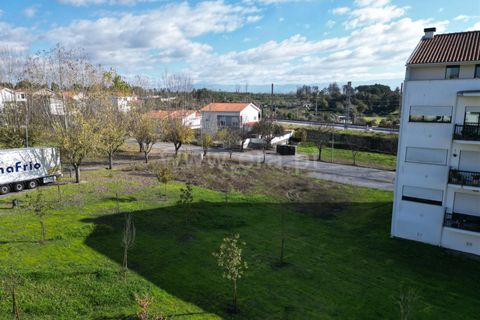Terra a Nelas, Viseu, Nelas - € 150.000 | Ref: 389250184 - foto 13