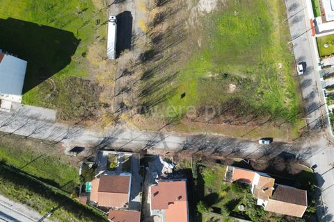 Terra a Nelas, Viseu, Nelas - € 150.000 | Ref: 389250184 - foto 14