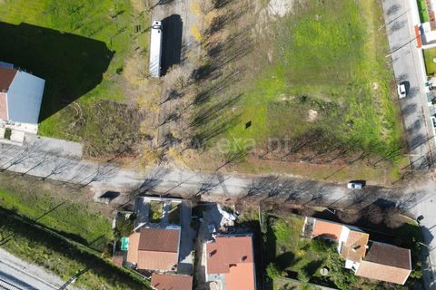 Terra a Nelas, Viseu, Nelas - € 150.000 | Ref: 389250184 - foto 15