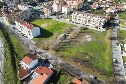 Terra a Nelas, Viseu, Nelas - € 150.000 | Ref: 389250184 - foto 16