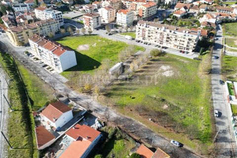 Terra a Nelas, Viseu, Nelas - € 150.000 | Ref: 389250184 - foto 17