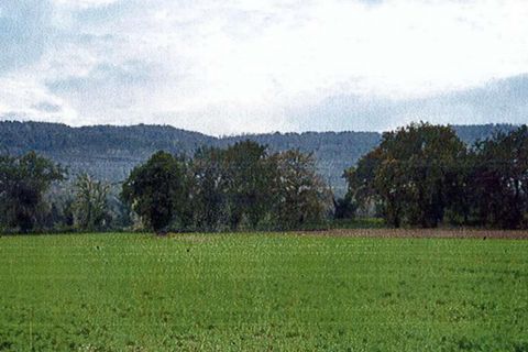 Helårsgrund i Orte, Viterbo, Orte - € 95.113 | Ref: 4798 - foto 7