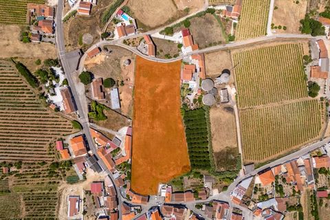 Helårsgrund i Carvalhal, Leiria, Carvalhal - € 265.000 | Ref: BL786 - foto 2