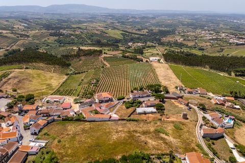 Helårsgrund i Carvalhal, Leiria, Carvalhal - € 265.000 | Ref: BL786 - foto 6