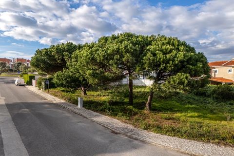 Helårsgrund i Vau, Leiria, Vau - € 195.000 | Ref: BL1286 - foto 9