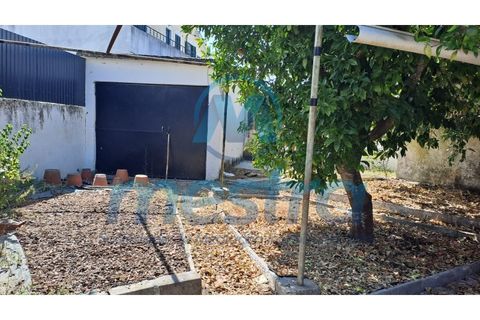 Villa a Tramagal, Santarem, Tramagal - € 178.500 | Ref: 107 - foto 15