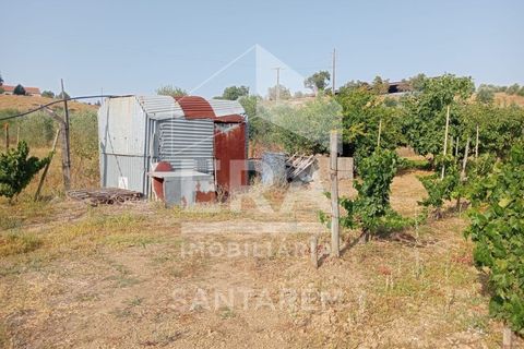 Terra a Pontevel, Santarem, Pontevel - € 75.000 | Ref: 11944 - foto 5